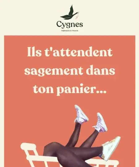 Email de relance panier de la marque Cygnes