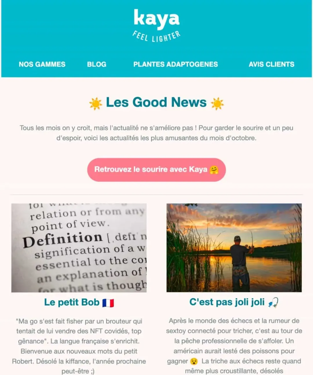 Newsletter mensuelle de la marque Kaya