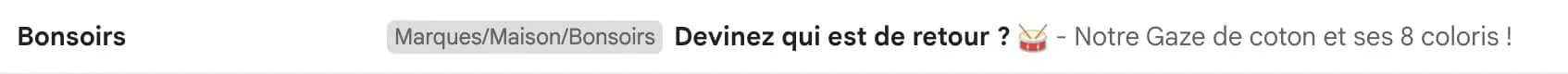 Objet d’email intrigant de la marque Bonsoirs, vu dans une boîte de réception : « Devinez qui est de retour ? »